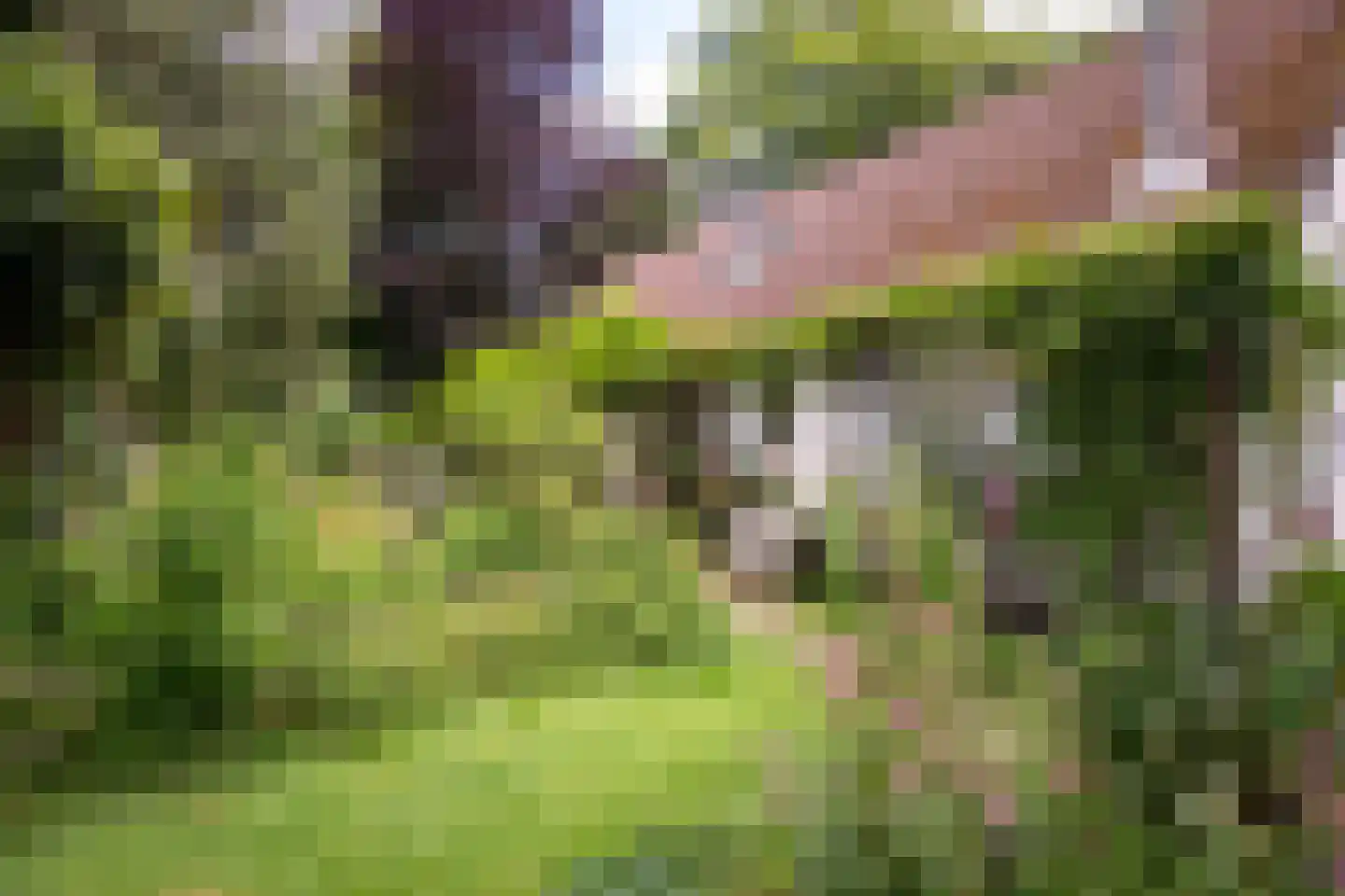 Willemsbos 4 Ugchelen thumbnail 9
