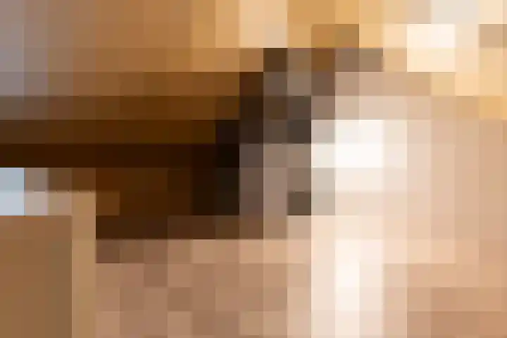 Willemselaan 7 Eygelshoven thumbnail 23