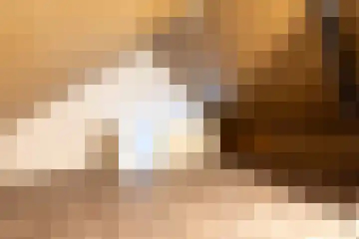 Willemselaan 7 Eygelshoven thumbnail 24