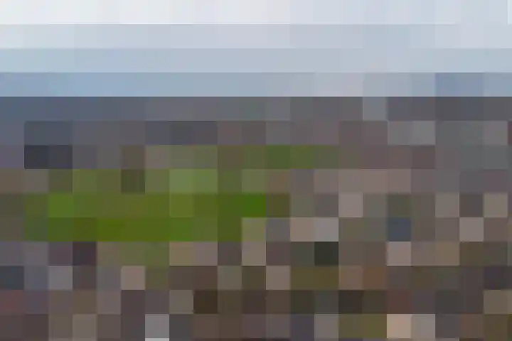 Willemselaan 7 Eygelshoven thumbnail 31