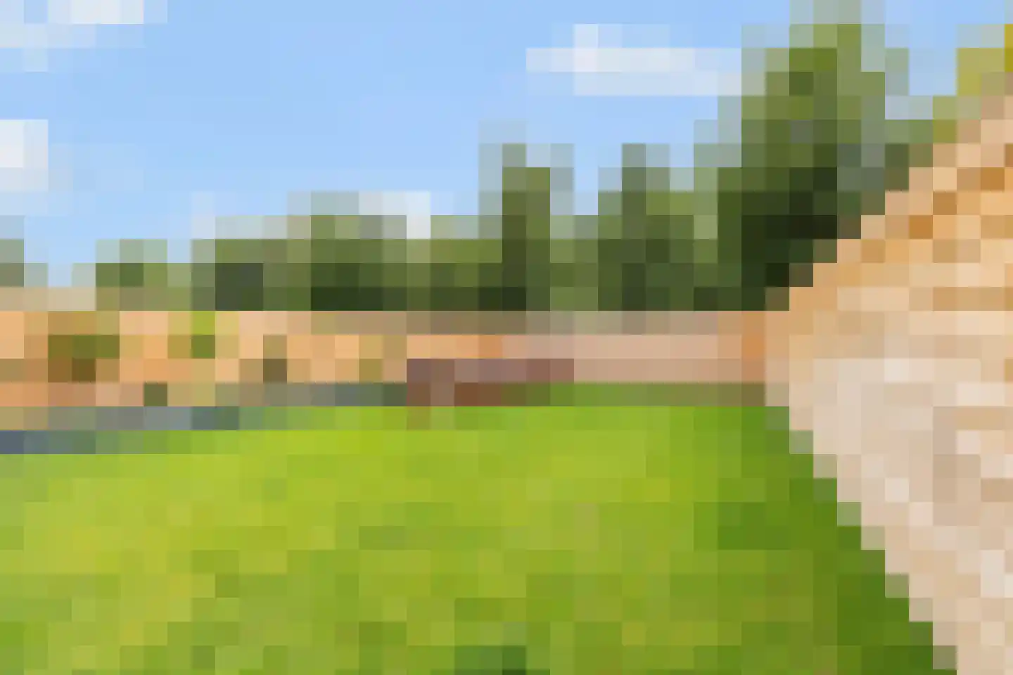 Willemsen Naaldhoutweg 19 Wolfheze thumbnail 15