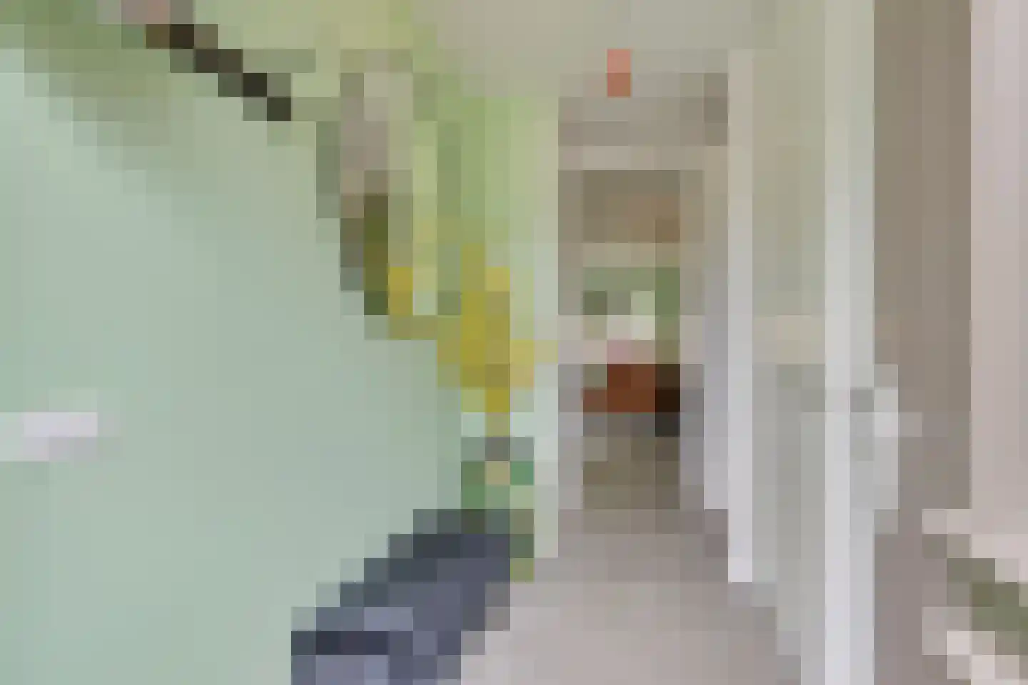 Willemsen Naaldhoutweg 19 Wolfheze foto 3