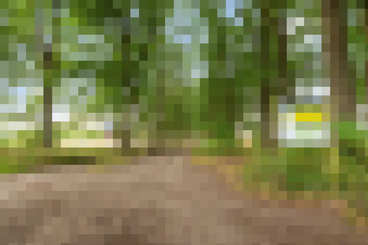 Willemsen Naaldhoutweg 19 Wolfheze thumbnail 35