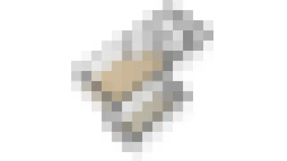 Willemsen Naaldhoutweg 19 Wolfheze thumbnail 39