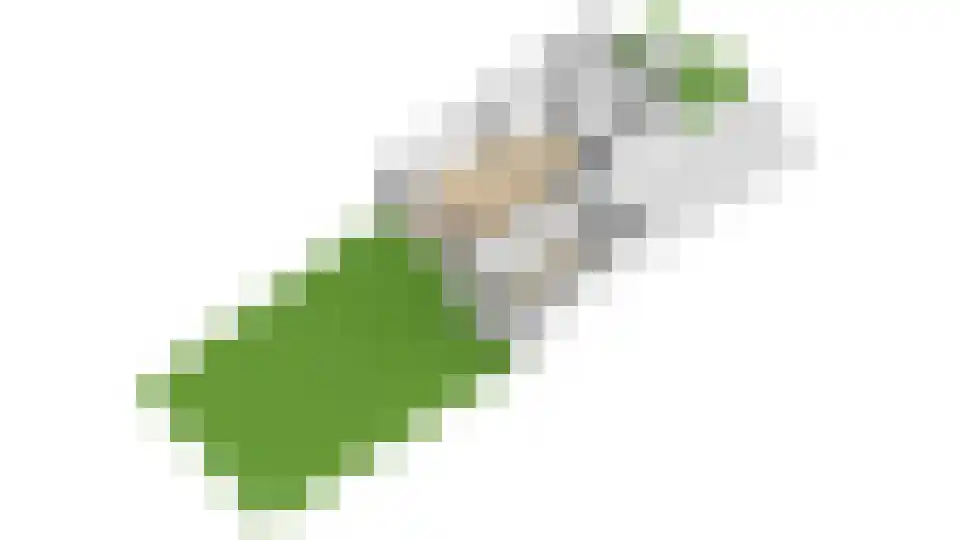 Willemsen Naaldhoutweg 19 Wolfheze thumbnail 46