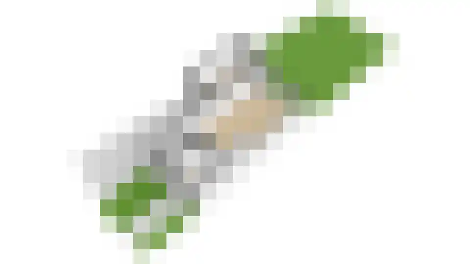 Willemsen Naaldhoutweg 19 Wolfheze thumbnail 47