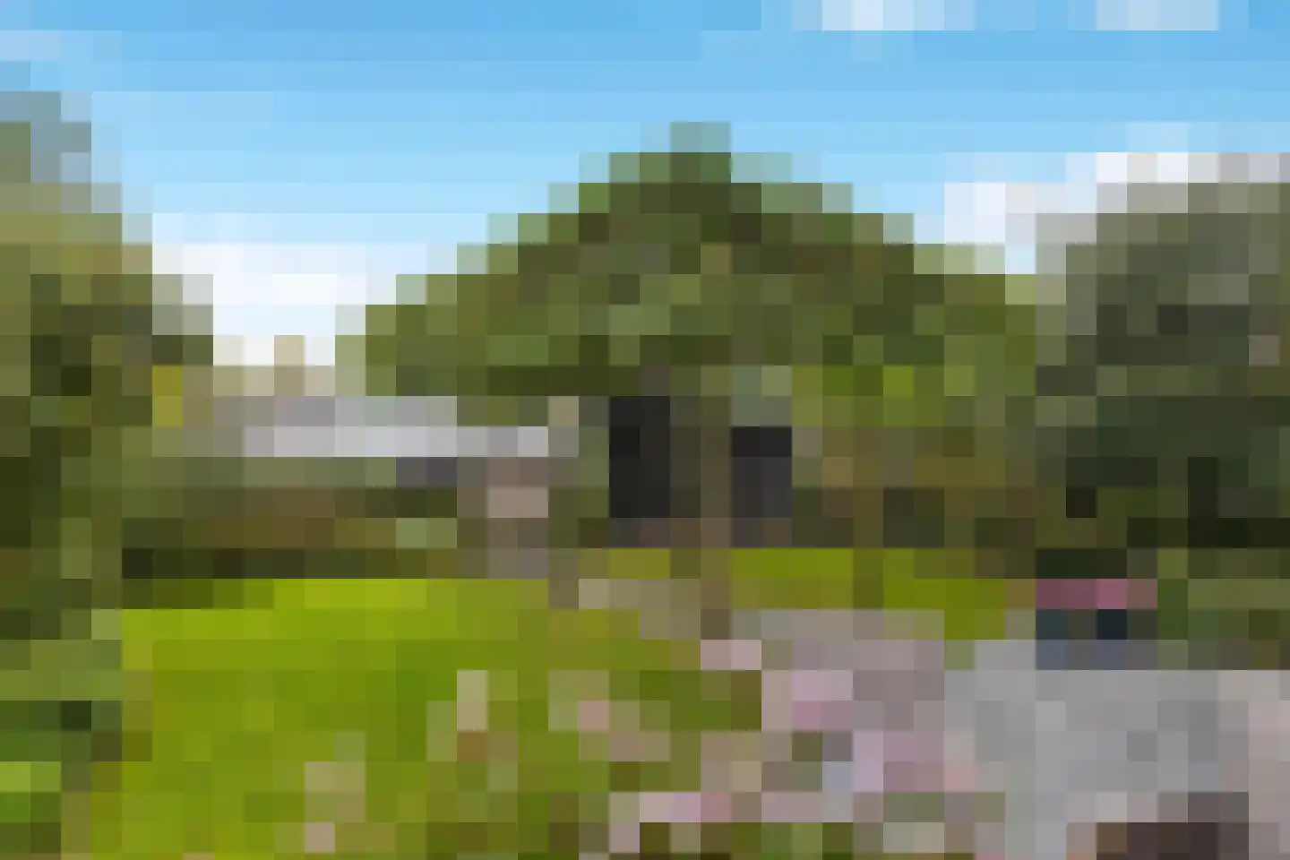 Willemshoek 13 Harskamp thumbnail 27