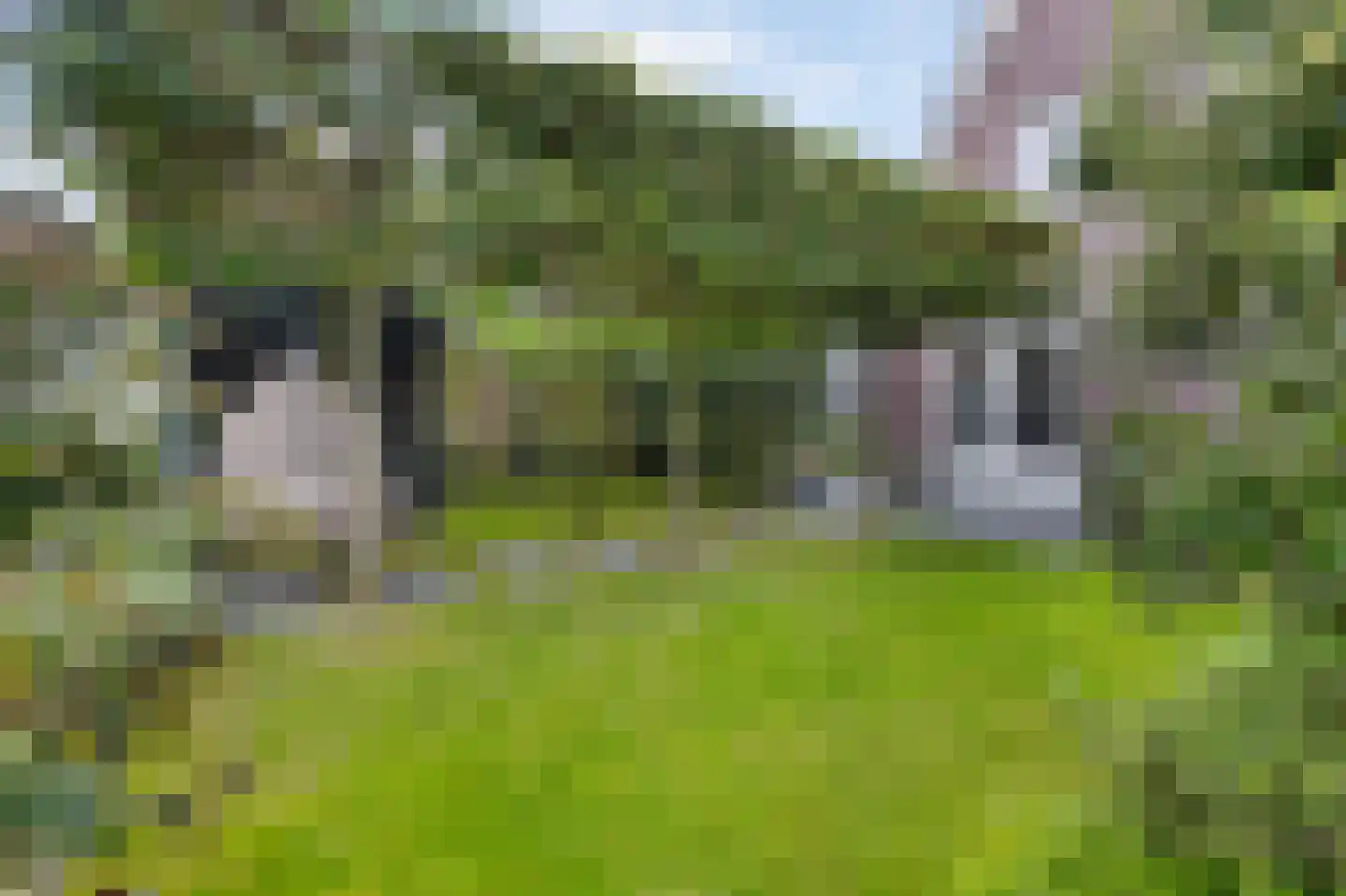 Willemshoek 13 Harskamp thumbnail 28