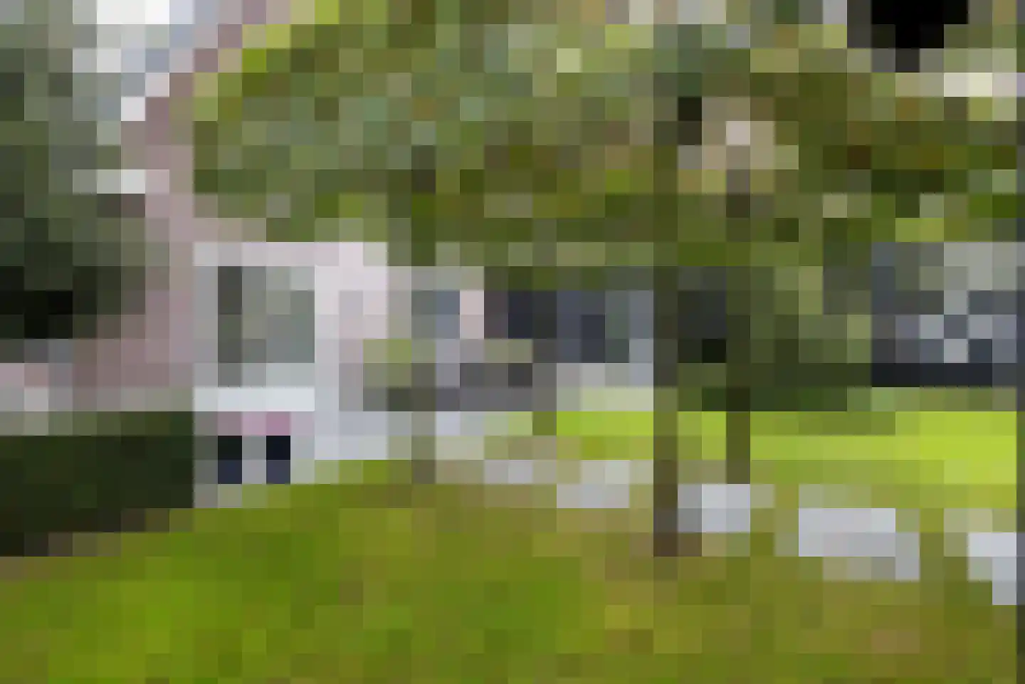 Willemshoek 13 Harskamp thumbnail 29