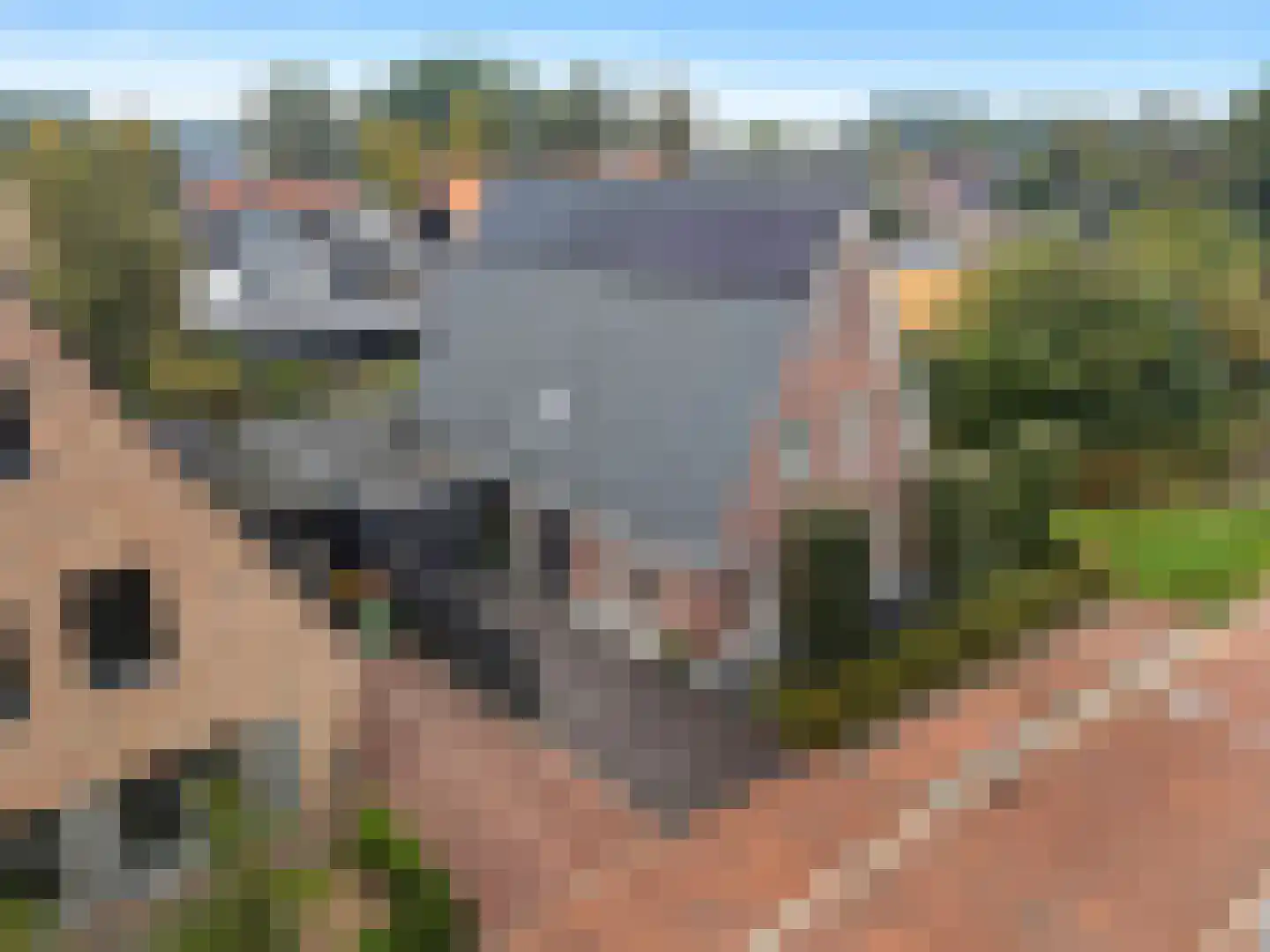 Willemshoek 13 Harskamp thumbnail 36