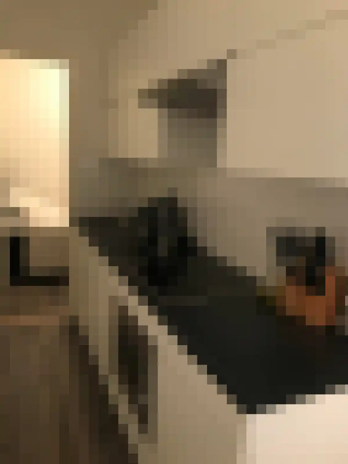 Willemskade 10 Zwolle thumbnail 5