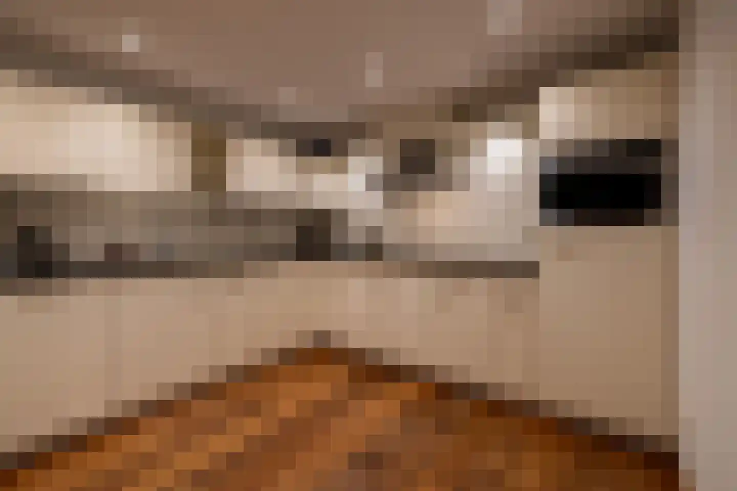 Willemskade 15 A Rotterdam thumbnail 25