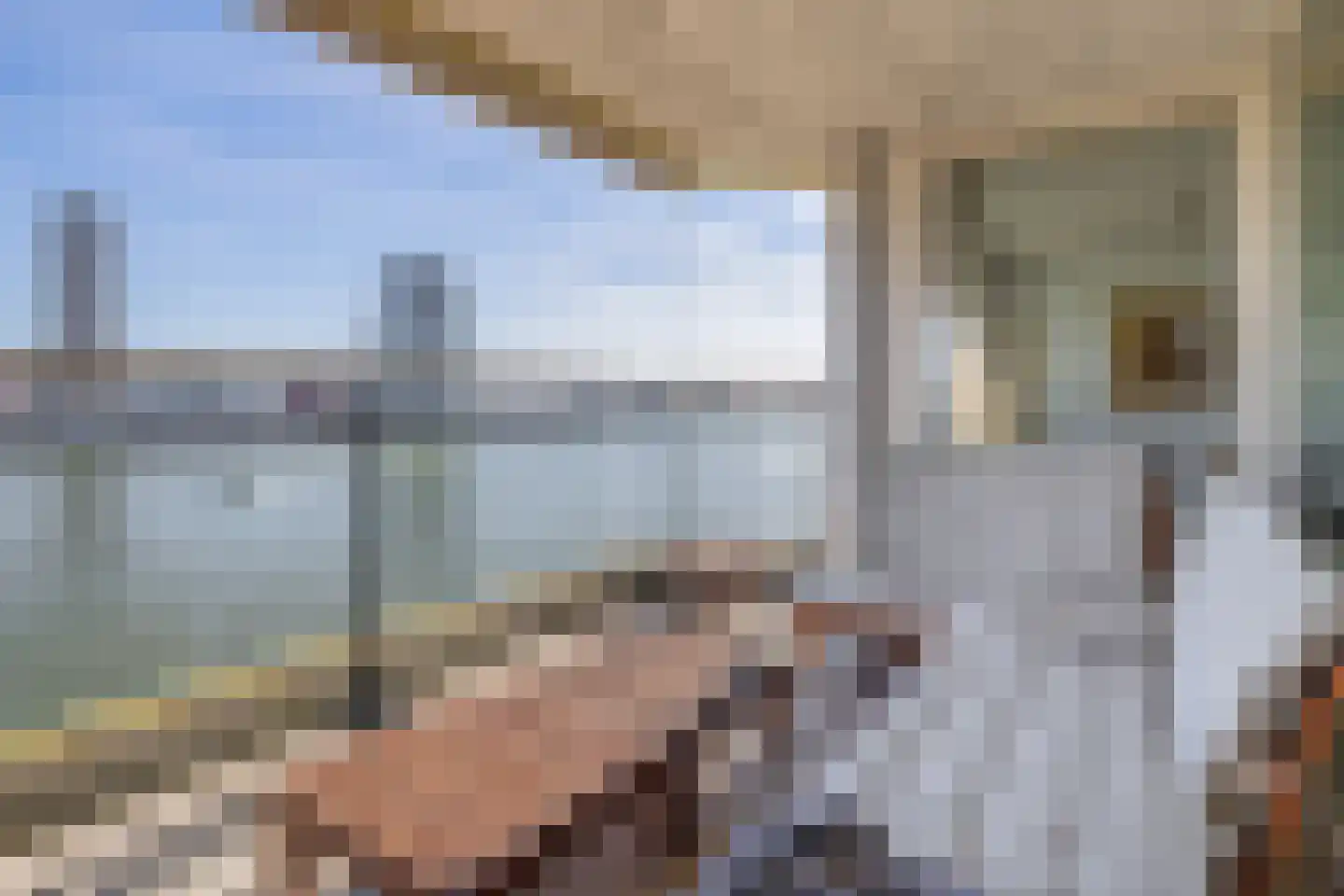 Willemskade 15 Q Rotterdam thumbnail 30