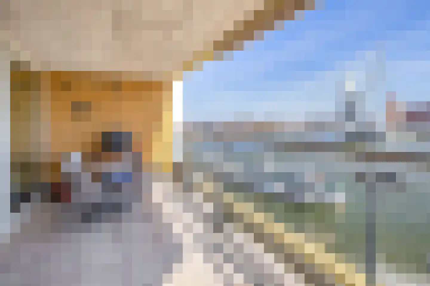 Willemskade 15 Q Rotterdam thumbnail 34
