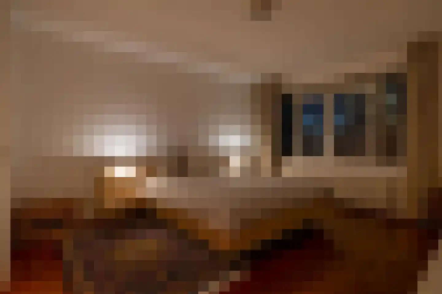 Willemskade 15 Q Rotterdam thumbnail 39