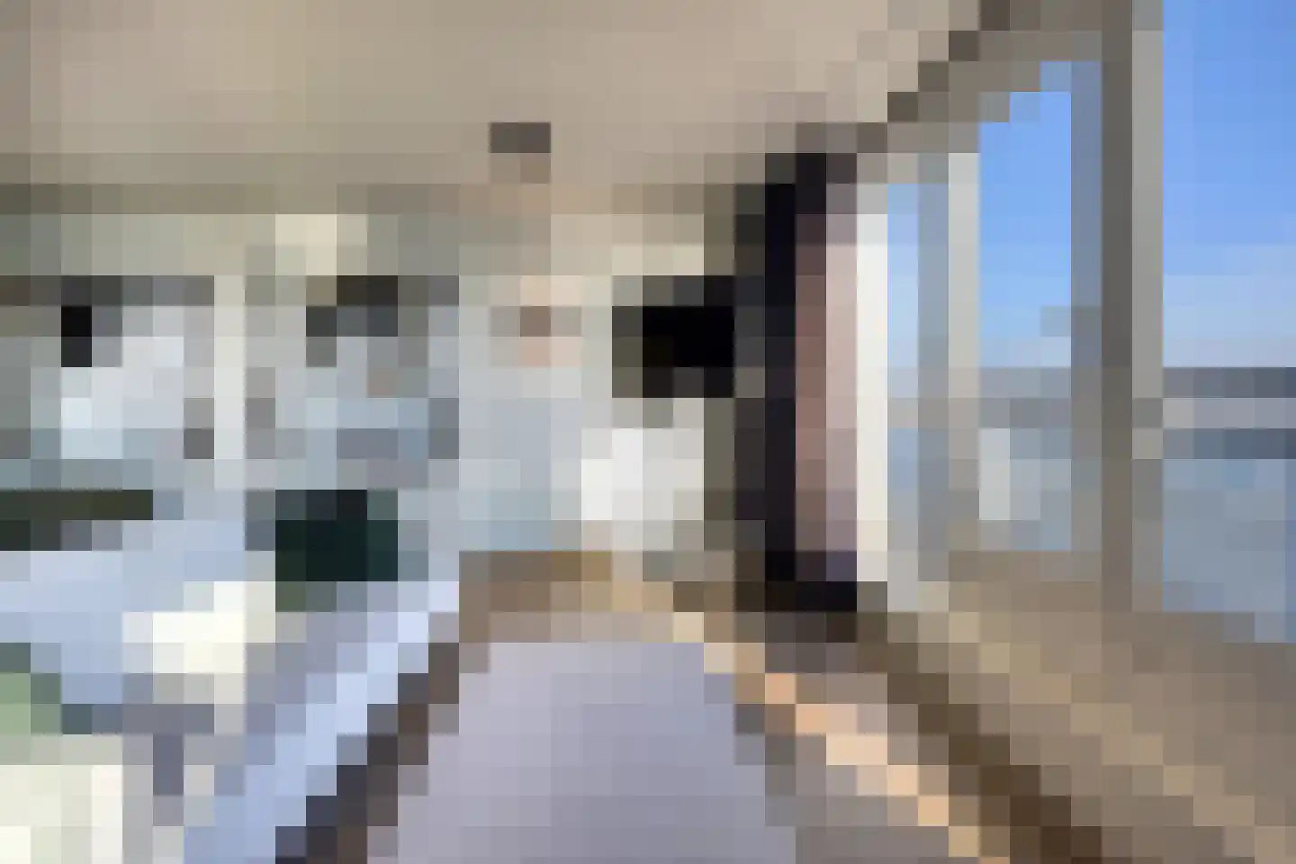 Willemskade 17 L Rotterdam thumbnail 25