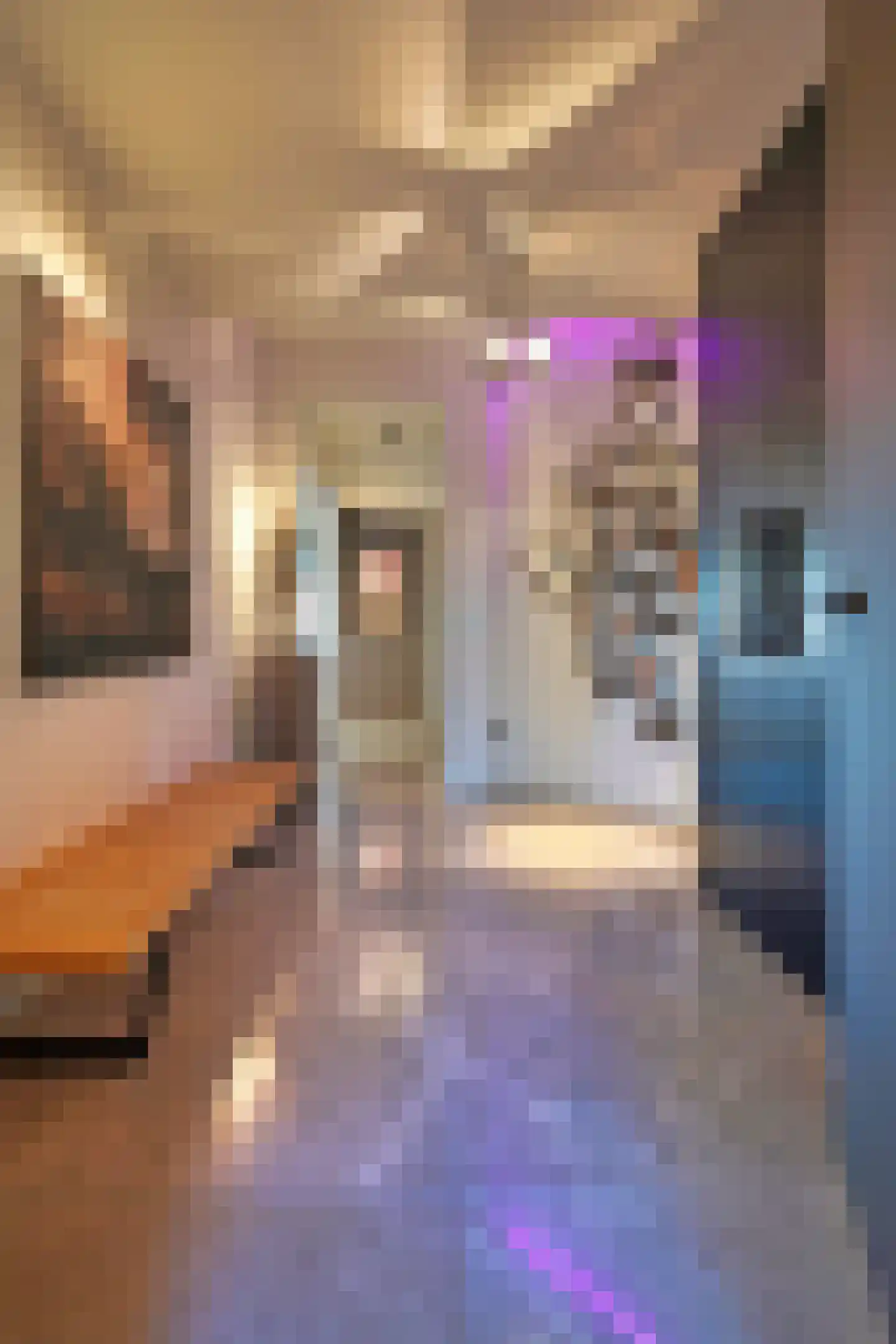 Willemskade 17 P Rotterdam thumbnail 14