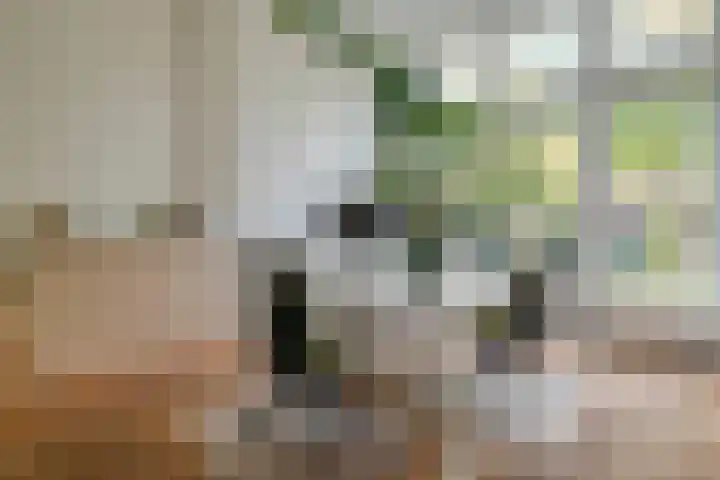 Willemskade 17 Zwolle thumbnail 13