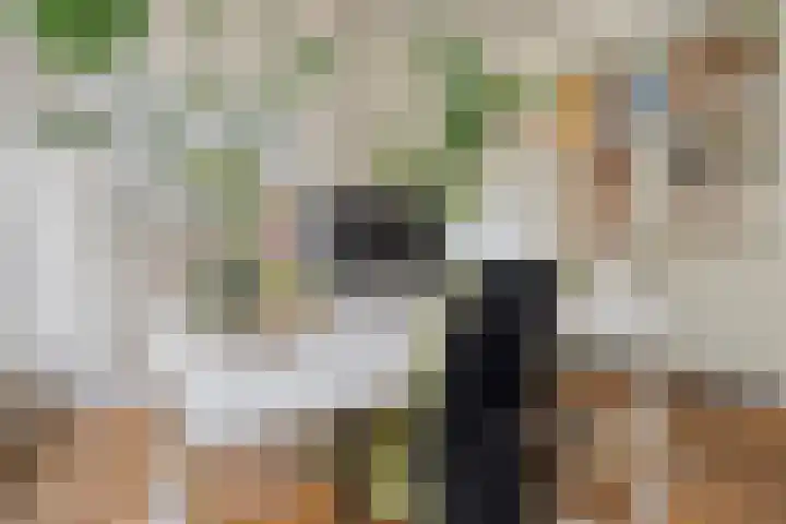 Willemskade 17 Zwolle thumbnail 14