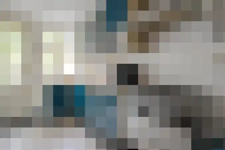 Willemskade 17 Zwolle thumbnail 17