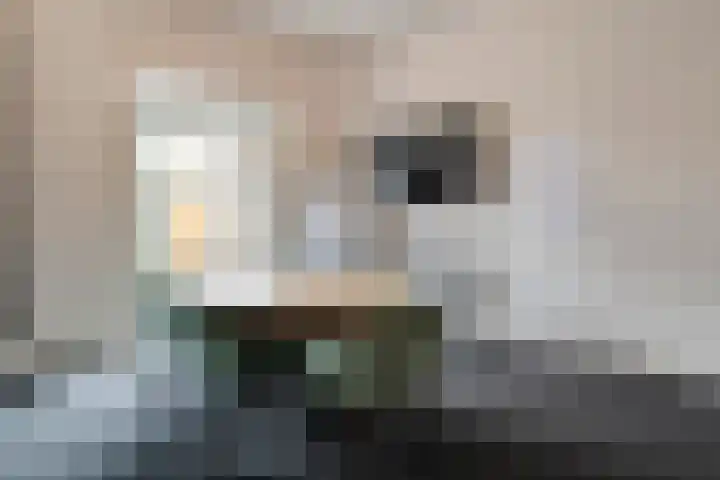 Willemskade 17 Zwolle thumbnail 23