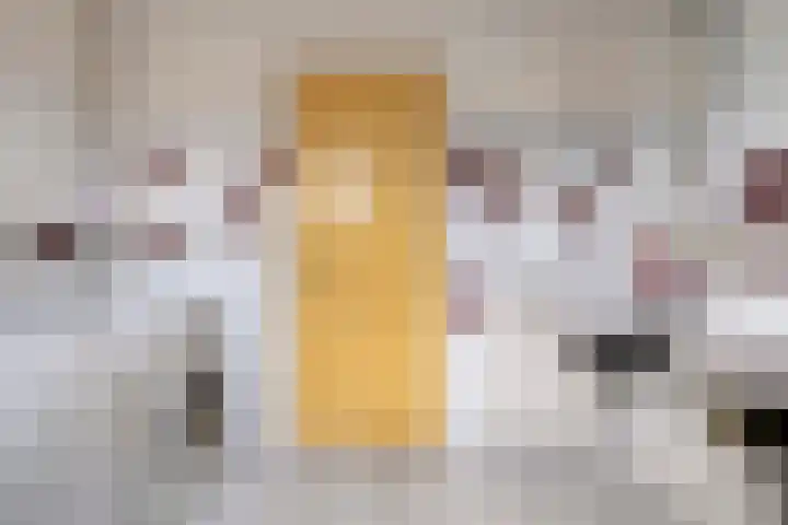 Willemskade 17 Zwolle thumbnail 31