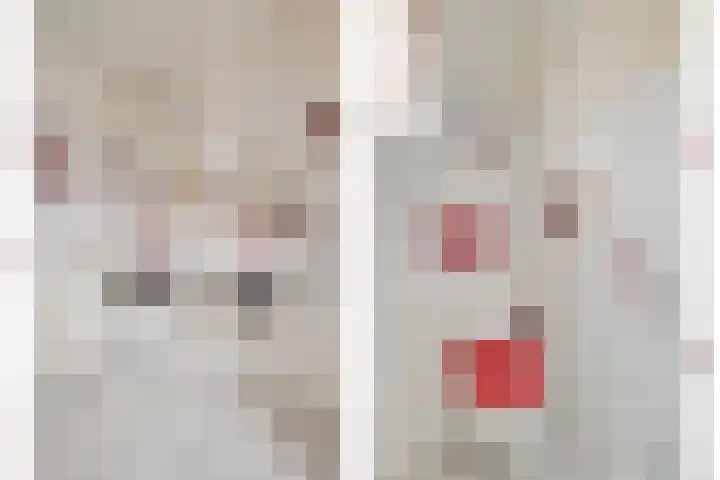 Willemskade 17 Zwolle thumbnail 32