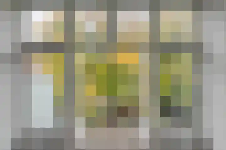 Willemskade 17 Zwolle thumbnail 34
