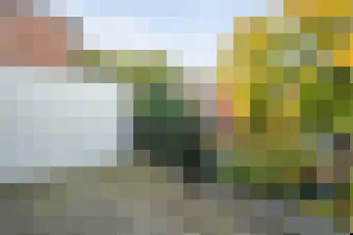 Willemskade 17 Zwolle thumbnail 36