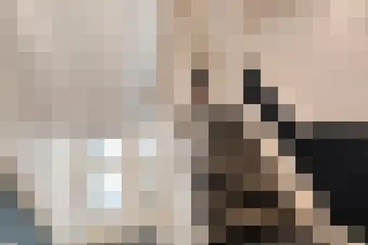 Willemskade 17 Zwolle thumbnail 38
