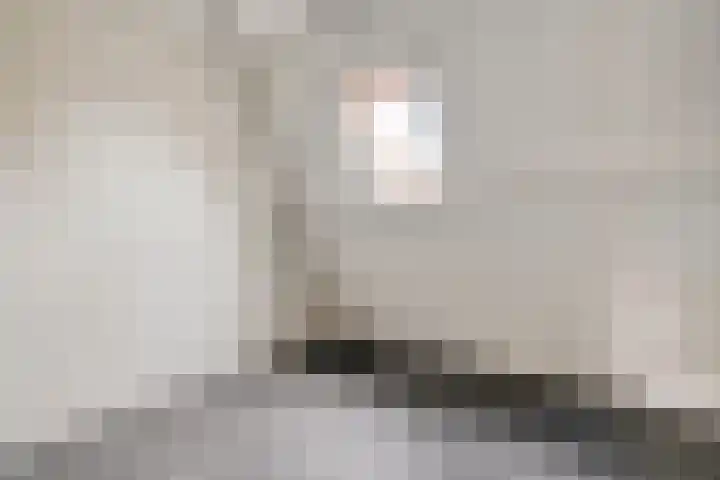 Willemskade 17 Zwolle thumbnail 45