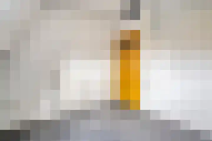 Willemskade 17 Zwolle thumbnail 46