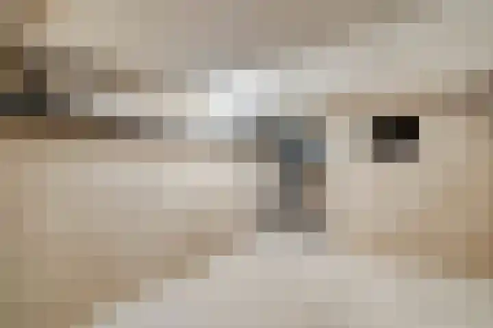 Willemskade 17 Zwolle thumbnail 47