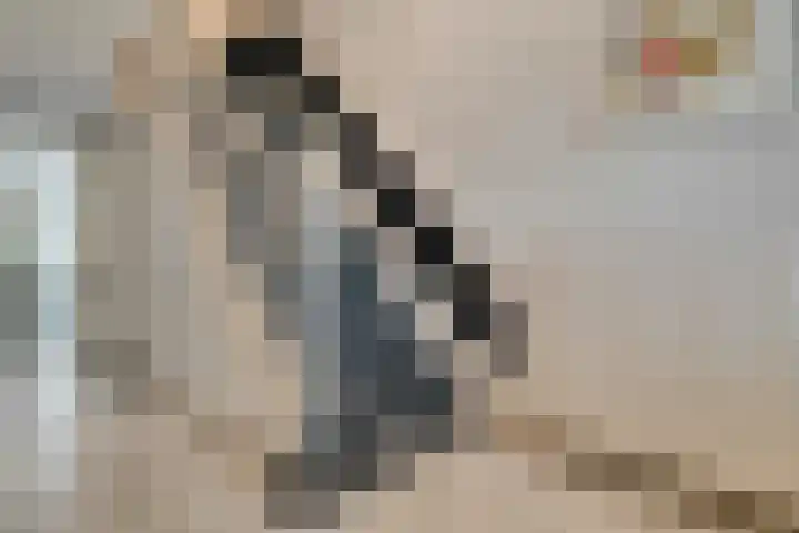 Willemskade 17 Zwolle thumbnail 5