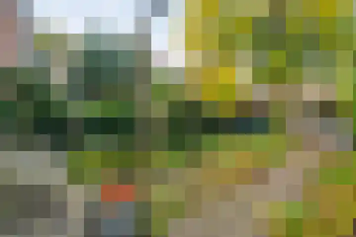Willemskade 17 Zwolle thumbnail 50