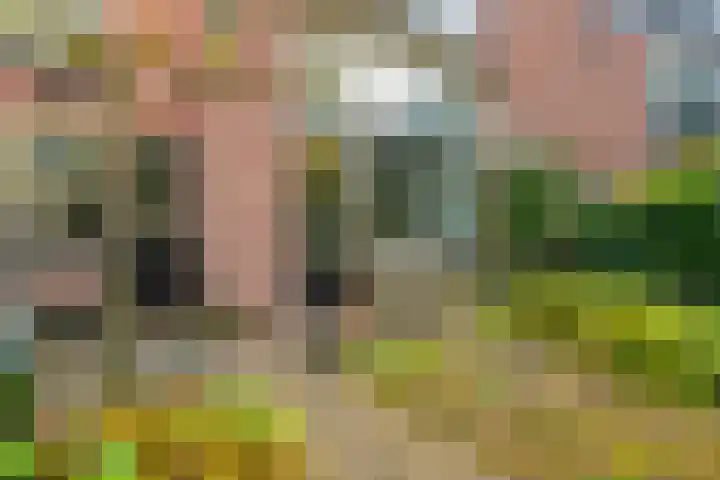 Willemskade 17 Zwolle thumbnail 51