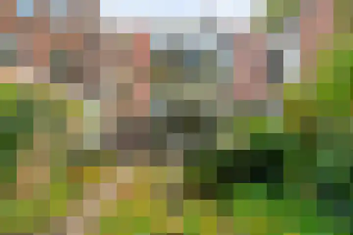 Willemskade 17 Zwolle thumbnail 54