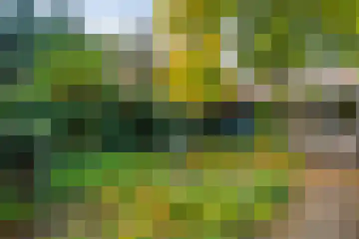 Willemskade 17 Zwolle thumbnail 55