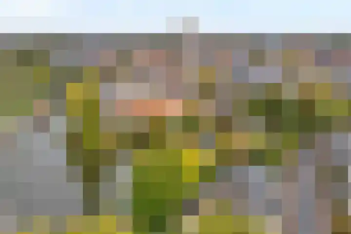 Willemskade 17 Zwolle thumbnail 58
