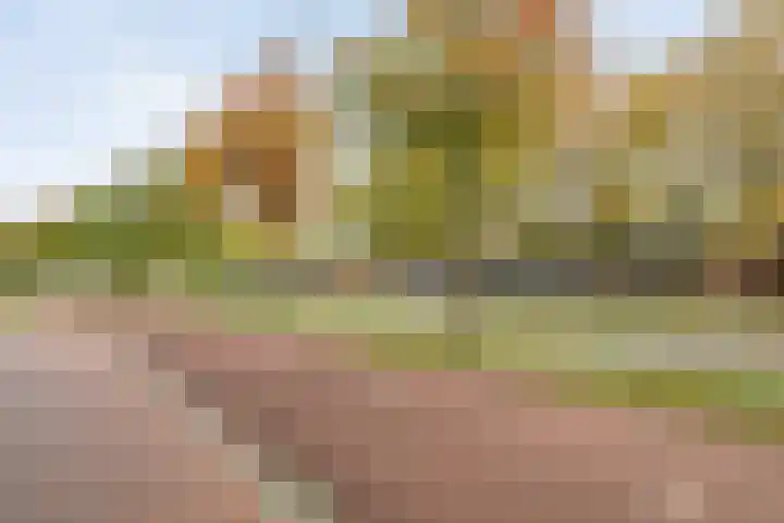 Willemskade 17 Zwolle thumbnail 64