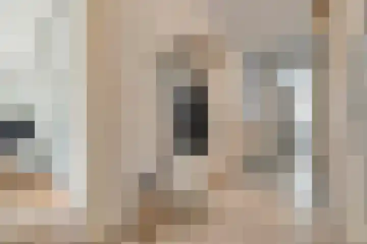 Willemskade 17 Zwolle thumbnail 8