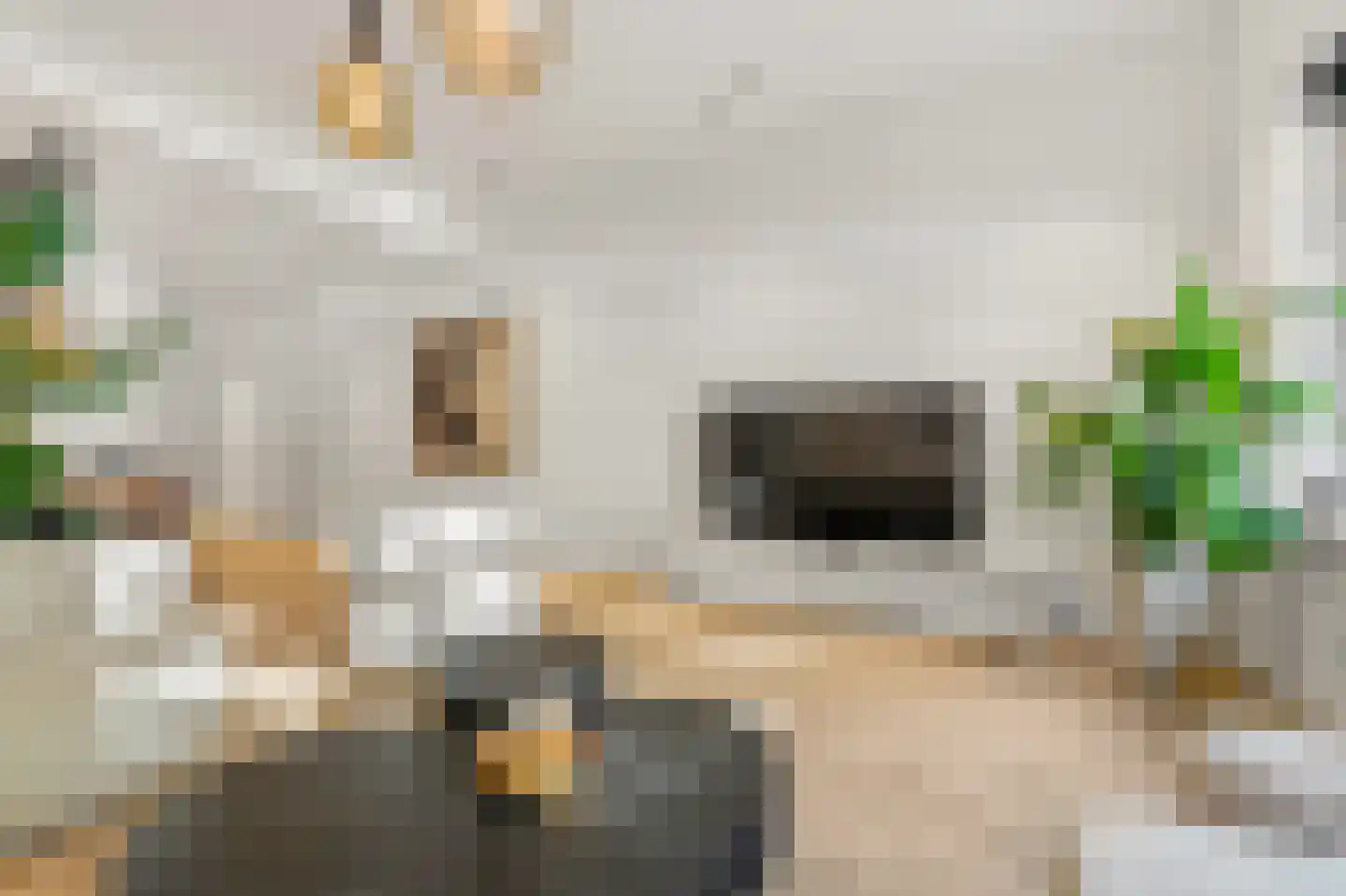 Willemskade 21 A Rotterdam thumbnail 24