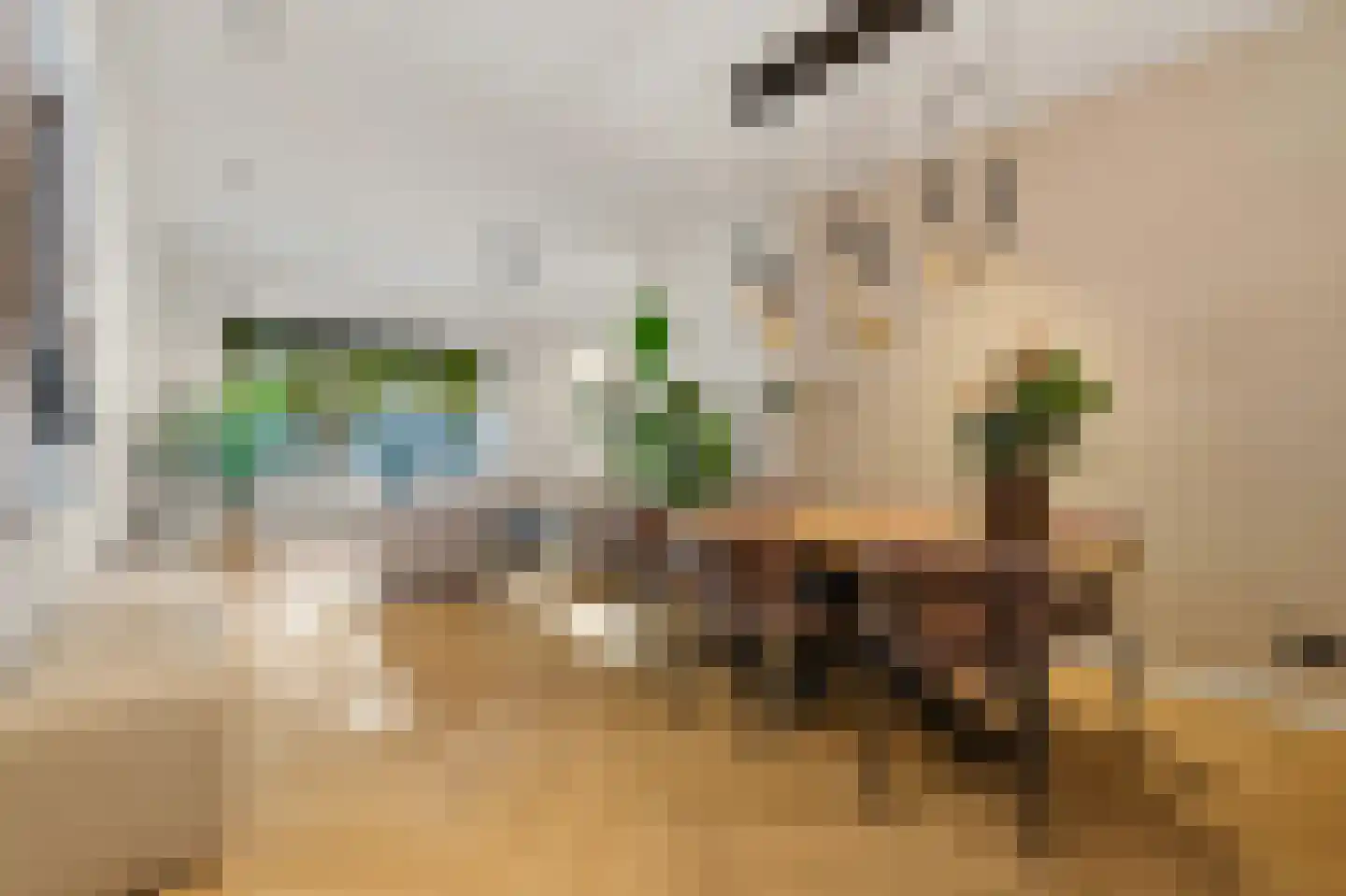 Willemskade 21 A Rotterdam thumbnail 25