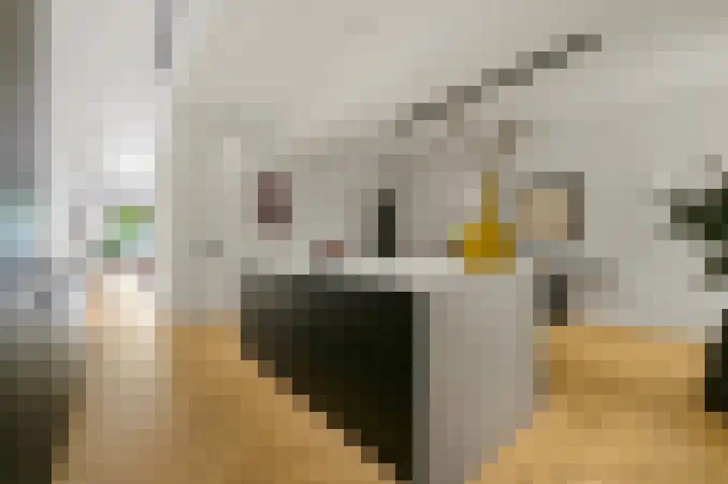 Willemskade 21 A Rotterdam thumbnail 30