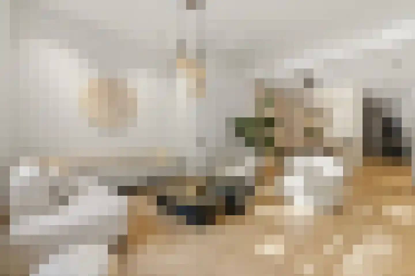 Willemskade 21 A Rotterdam thumbnail 4