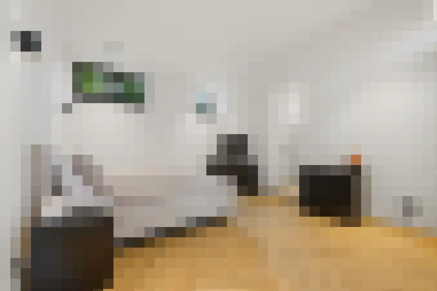 Willemskade 21 A Rotterdam thumbnail 41