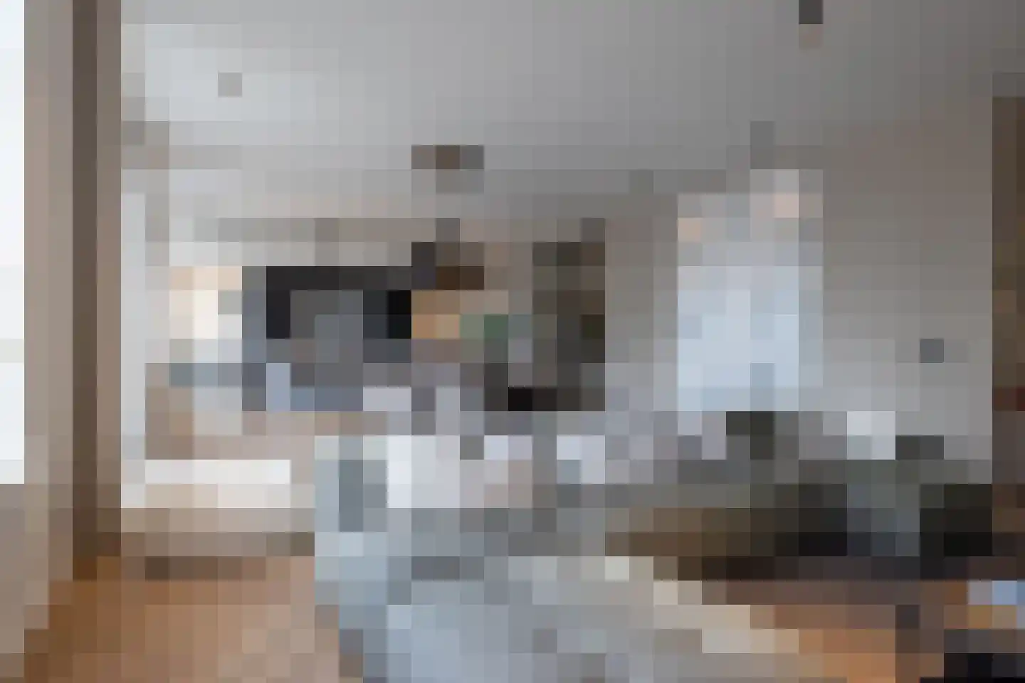 Willemskade 21 D Rotterdam thumbnail 7