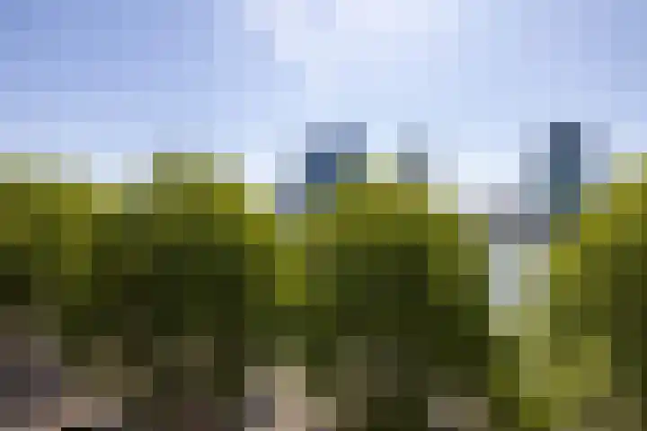 Willemskade 21 E Rotterdam thumbnail 10