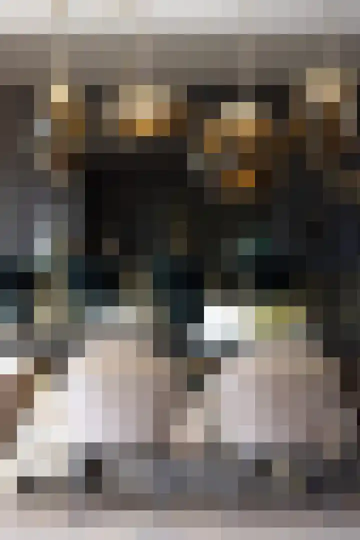 Willemskade 21 E Rotterdam thumbnail 20