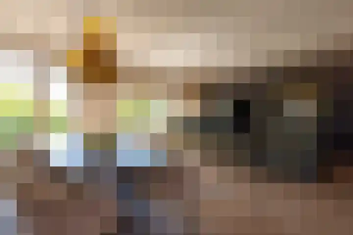 Willemskade 21 E Rotterdam thumbnail 22